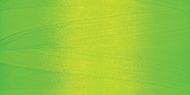 Mag/Lime Flash-2199
