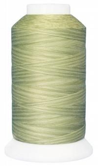 KT/  Basket New Colour