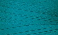 SF/ Teal